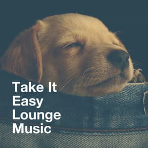 Take It Easy Lounge Music - Soothing Music for Sleep Academy