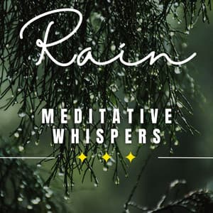 Rain's Embrace: Meditative Serenity - Golden Drops