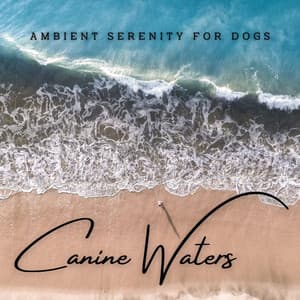 Tranquil Canine Waters: Ambient Serenity for Dogs - Trickling Water Soundscape