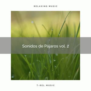 ! ! ! ! ! ! ! Sonidos de Pájaros vol. 2 - Musica Para Dormir y Sonidos de la Naturaleza