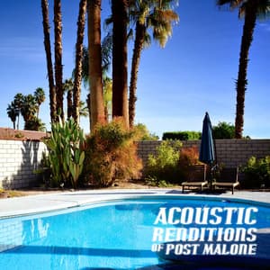 Acoustic Renditions of Post Malone - Guitar Tribute Players