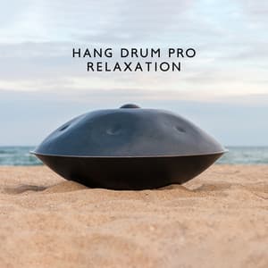 Hang Drum Pro Relaxation: Beautiful Hang and Handpan with Nature Sounds, Birds Chirping, Water Flow, Forest and Sea - Soothing Music Collection