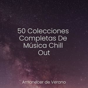 50 Colecciones Completas De Música Chill Out - Meditar Profundamente