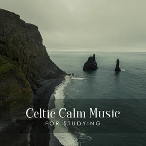 Celtic Calm Placid Studying - Alys Coliere