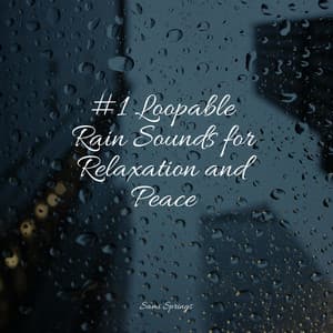 #1 Loopable Rain Sounds for Relaxation and Peace - Lightning