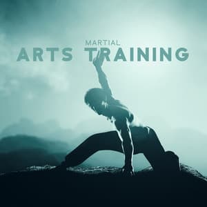 Martial Arts Training: Traditional Chinese Music for Kung Fu and Tai Chi - Tai Chi Spiritual Moments