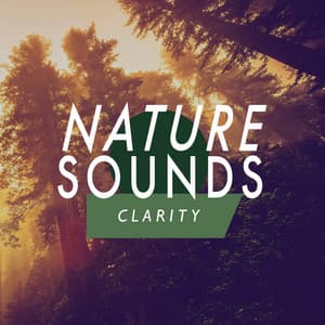 Nature Sounds: Clarity - Sounds Of Nature