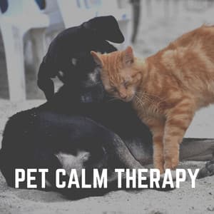 Pet Calm Therapy - Jazz Music Therapy for Cats