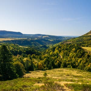 Soothing Music | Yoga Music - The Sleep Helpers