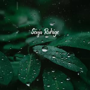 Stille Wiedergeburt - Sonja Ruhige