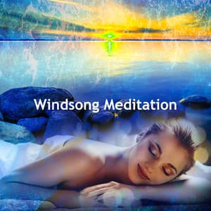 Windsong Meditation - Noise Spa