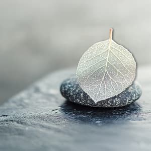 Meditative Moment of Deep Insight - Felix Stille