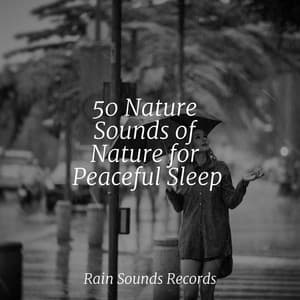 50 Nature Sounds of Nature for Peaceful Sleep - Sons da natureza HD