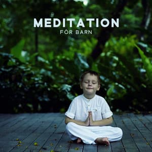 Meditation för Barn: Sömn Barn, Lugnande Musik för Barn - Lugnande zen musikzon