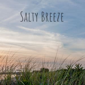 Salty Breeze - Red Hot Viper
