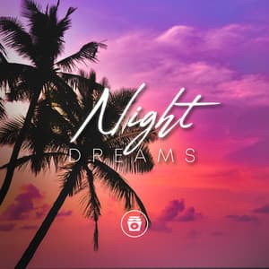 Night Dreams - Lofi Sleep Chill