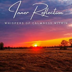 Tranquil Meditations: Harmonious Sounds for Inner Reflection - Surrounding Life