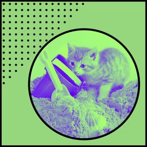 Backdrop for Friendly Cats - Trumpet and Alto Sax - Cat Relax