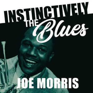 Instinctively the Blues - Joe Morris - Joe Morris