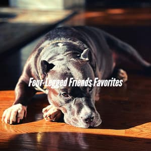 Four-Legged Friends Favorites - Dog Music Hour
