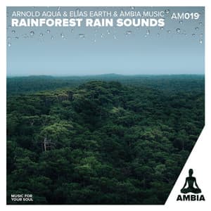 Rainforest Rain Sounds - Elias Earth