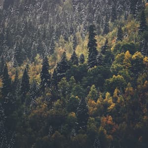 Relaxing Sleep Music - Yoga Flow