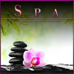 Spa: Blissful Massage, Yoga and Wellness with Rain Music - Spa Music Collective