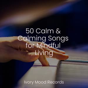 50 Calm & Calming Songs for Mindful Living - Ivory Mood