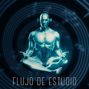 Flujo de Estudio - Musica para Estudiar Specialistas