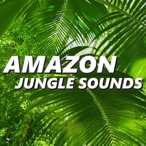 Amazon Jungle Sounds - Amazon Jungle Sounds