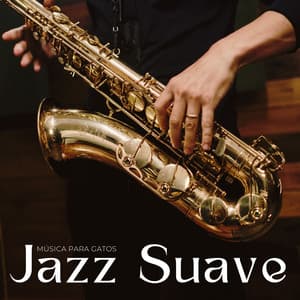 Jazz Suave: Música Para Gatos - Salón de música del restaurante