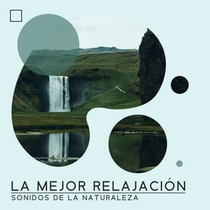 La Mejor Relajación - Sonidos de la Naturaleza: Relajación, Meditación y Dulces Sueños, Musicoterapia Natural y Música Relajante - Academia de Sonidos de la Naturaleza para Dormir