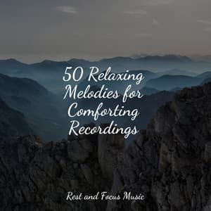 50 Relaxing Melodies for Comforting Recordings - Brain Study Music Guys