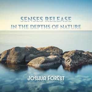 Senses Release - In the Depths of Nature - Joshua Forest