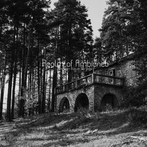 Realm of Ambience - Ambient Nature Settings