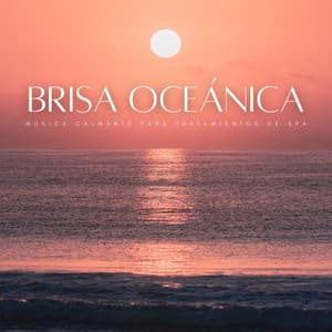 Brisa Oceánica: Música Calmante Para Tratamientos De Spa - Domingos por el Océano