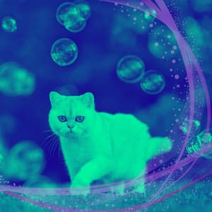 Carefree Bebop - Background for Kitten Anxieties - Relaxing Music for Cats