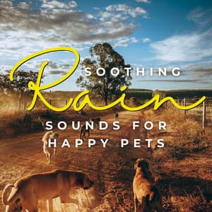 Rain's Pawsome Serenade: Soothing Rain Sounds for Happy Pets - Berlin Rain