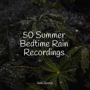 50 Summer Bedtime Rain Recordings - Sounds Of Nature : Thunderstorm, Rain