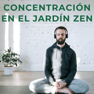 Concentración En El Jardín Zen: Serenidad Interior - Canal de paz interior