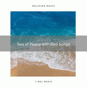 ! ! ! ! ! ! ! ! Sea of Peace with Bird Songs - Sea Waves Sounds