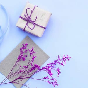 Guitar Trio - Ambiance for llustrious Shapes - Hotel Lounge Music