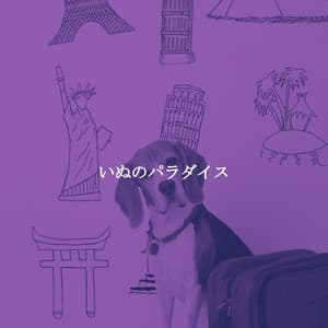 いぬのパラダイス - Smooth Jazz New York