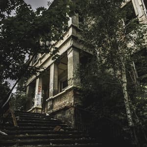 Spellbound Slumbering Haven - Solis Reverie