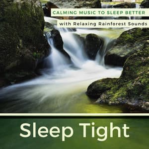 Sleep Tight: Calming Music to Sleep Better with Relaxing Rainforest Sounds - All Night Long