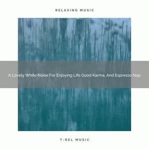 A Lovely White Noise For Enjoying Life Good Karma, And Espresso Nap - Ocean Of White Noise