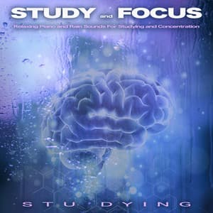 Study and Focus: Relaxing Piano and Rain Sounds For Studying and Concentration - Stu Dying