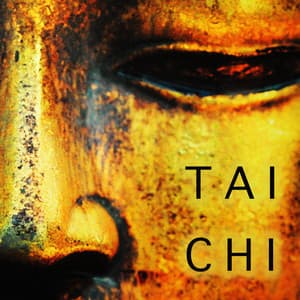 Tai Chi Chuan - Ambient Music for Taichi Exercises - Mind Entrainment Doctor