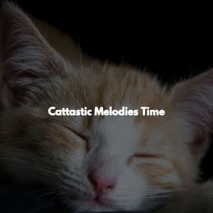 Cattastic Melodies Time - Cooking Music Chill