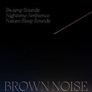 Swamp Sounds, Nighttime Ambience, Nature Sleep Sounds, Brown Noise, Loopable - Noise Colours